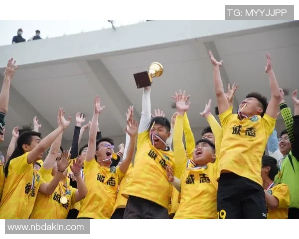 杭州街舞队边路渗透革新探索与实践的深度剖析与启示