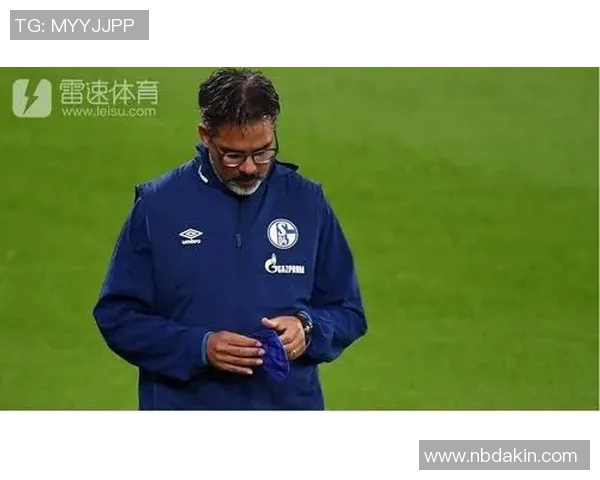 沙尔克04解雇主帅瓦格纳下课寻找新帅