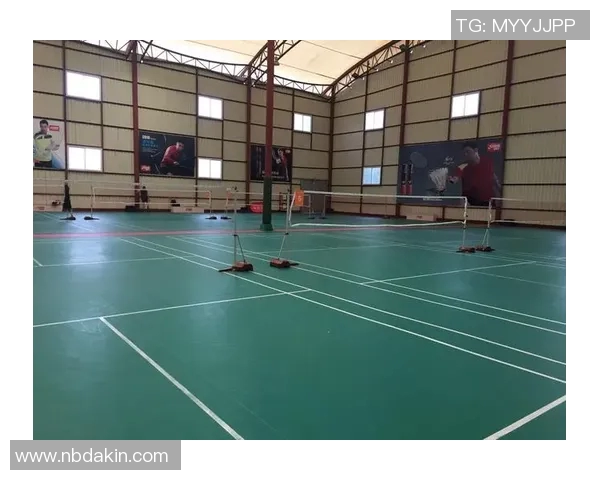 深入探讨上海羽毛球队实力对比与未来发展潜力分析